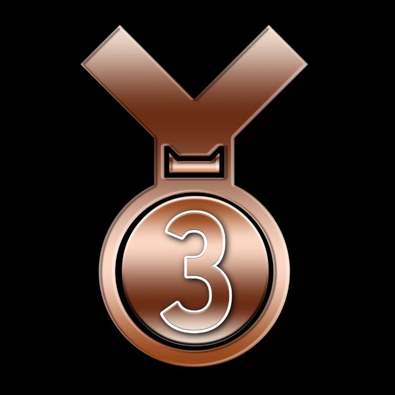 3rd Place Bronze achievement award medal