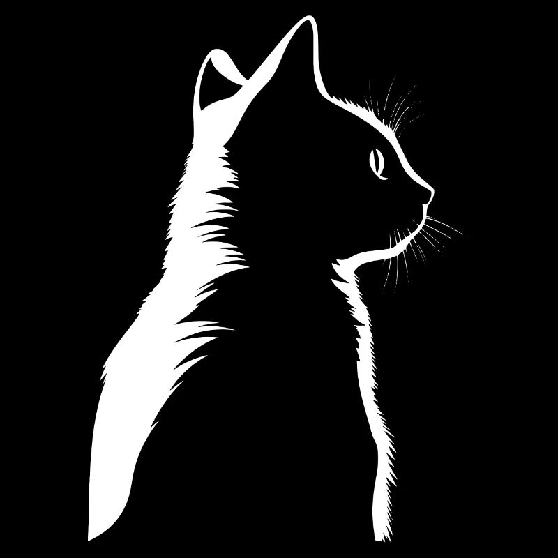 Chat, Motif De Chat