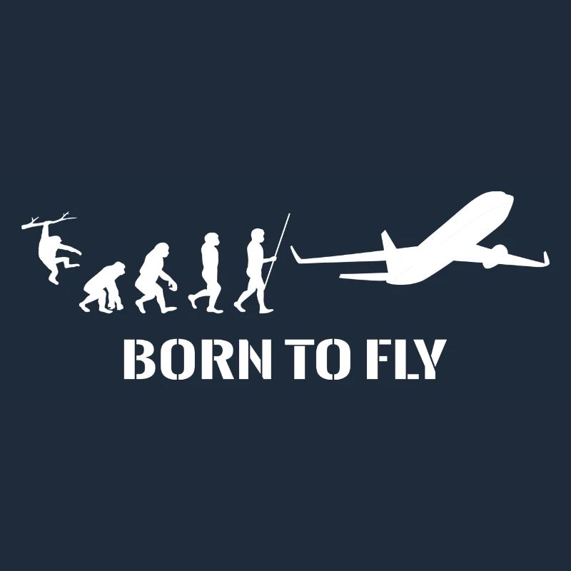 Airplane Evolution Pilot Flying Flying