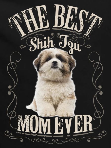 Shih Tzu -