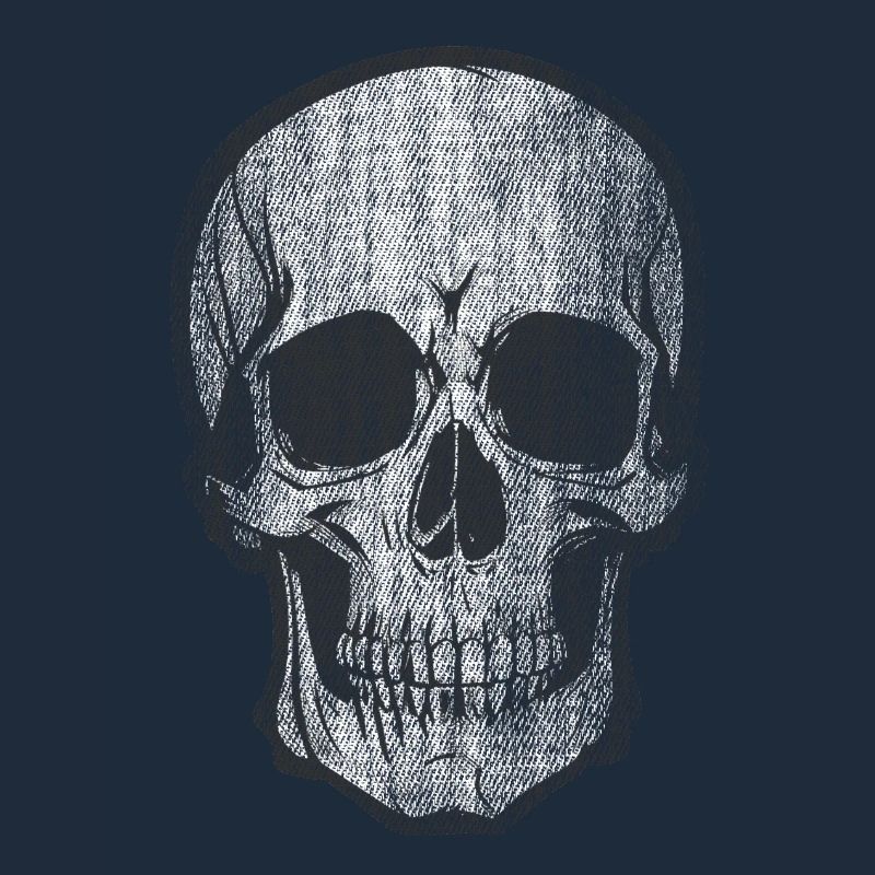 Skull Bone Skull Head Pirate
