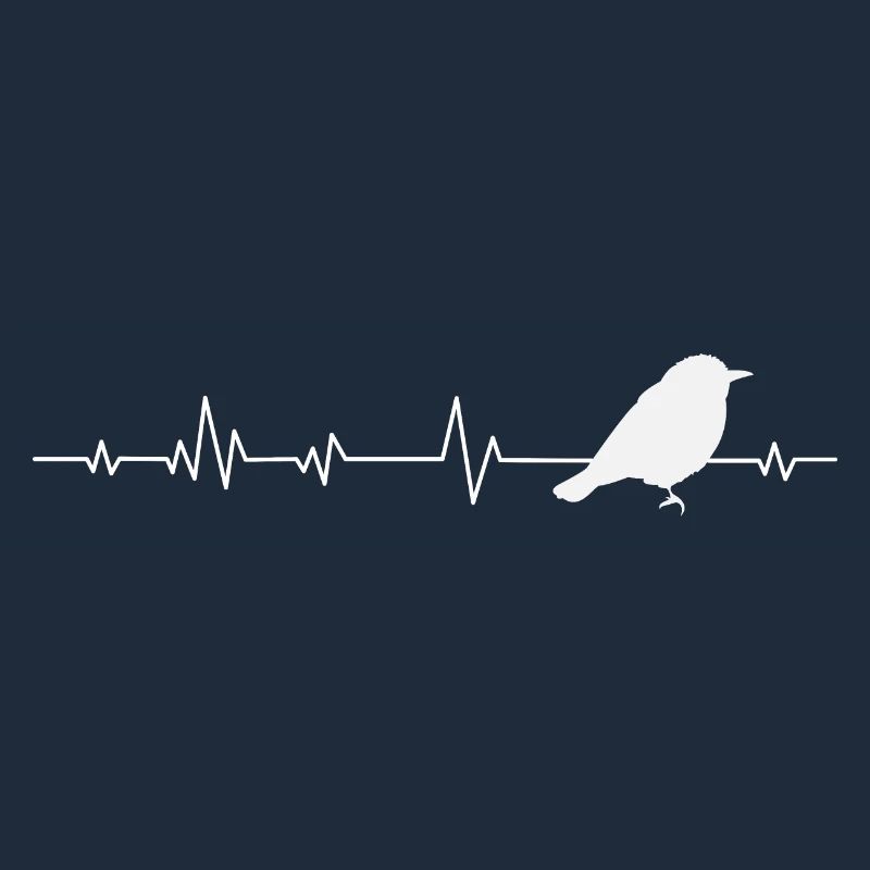Oiseaux oiseaux