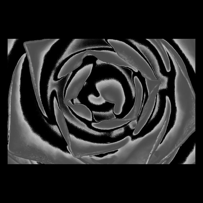 Blume, A731144 1