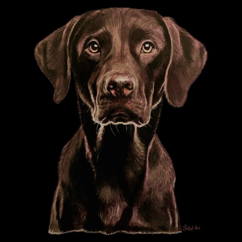 Labrador