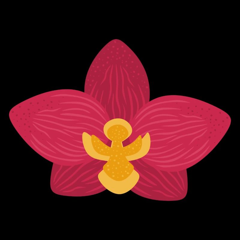 Orchid Flower