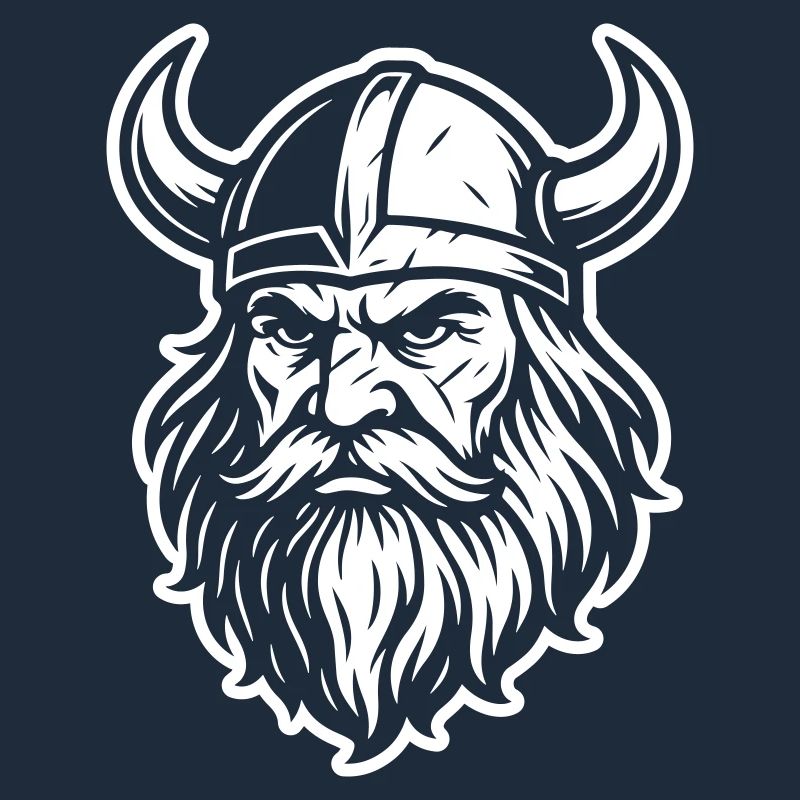 Casque Viking Odin