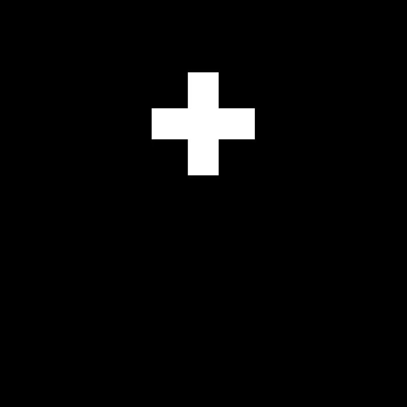 Suisse Drapeau suisse Suisse