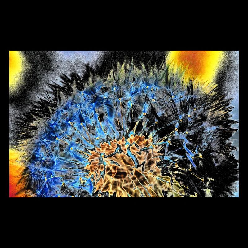 Pusteblume, A731306