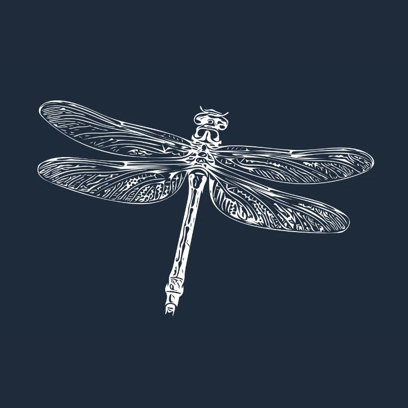 Flying dragonfly