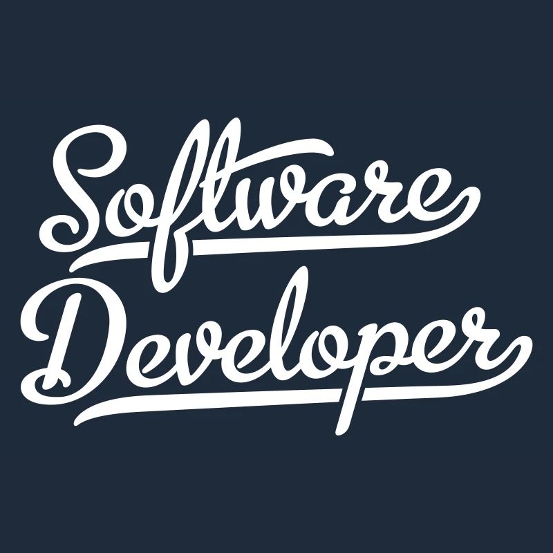 Software Developer