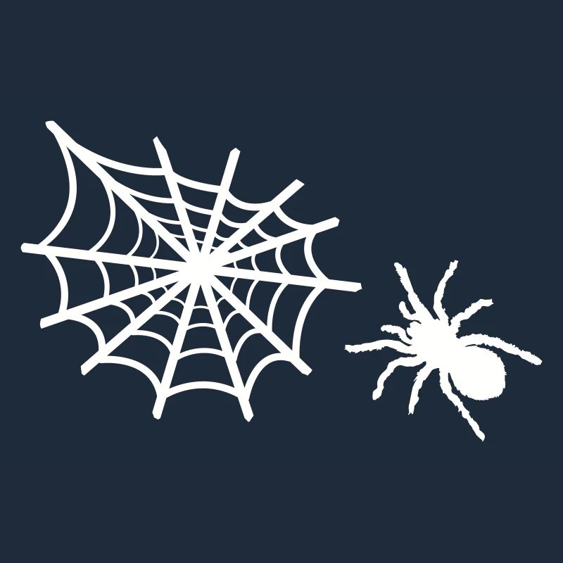spider spider web