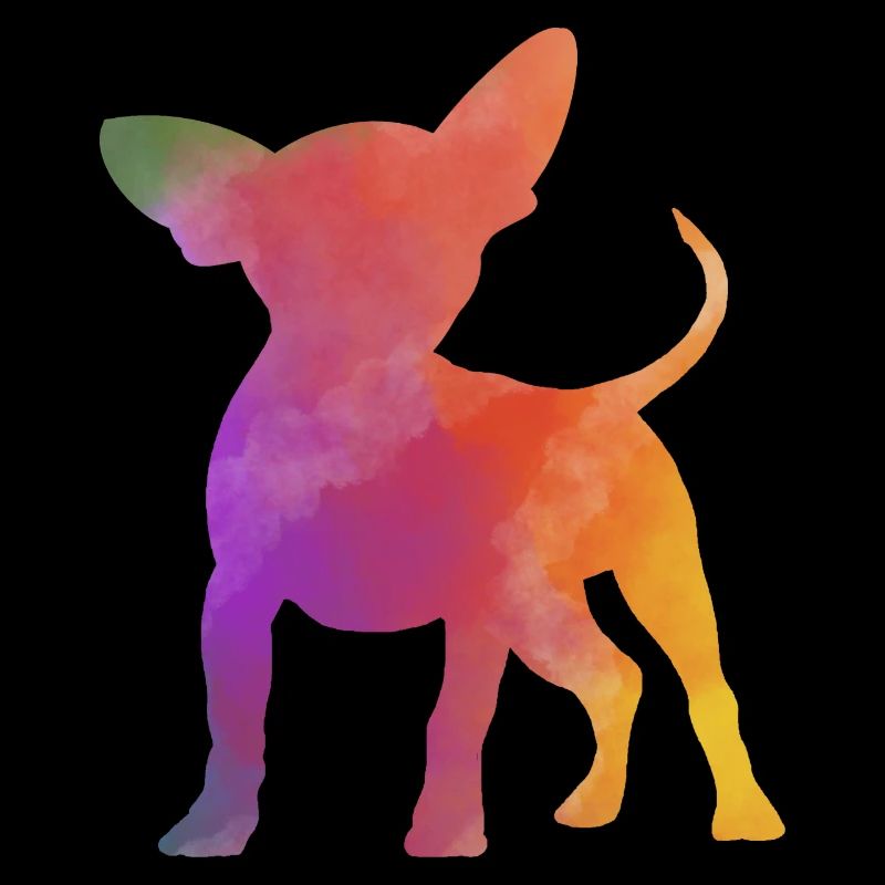 Rainbow Chihuahua