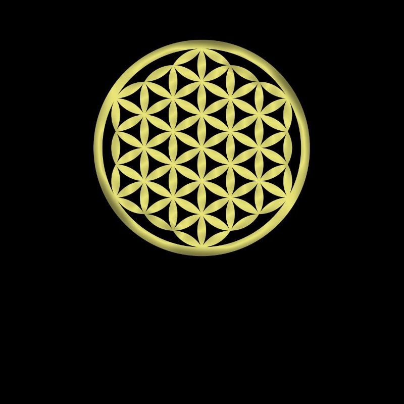 Fleur de vie / Fleur de vie / Fleur de vie