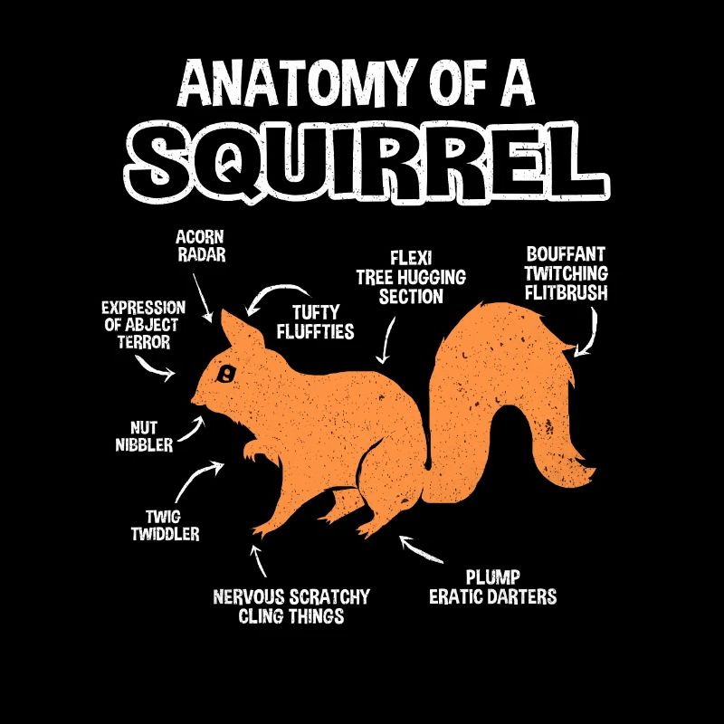 Squirrel
