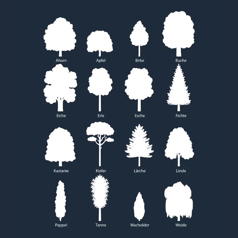 Trees Environment Forest Nature Gift