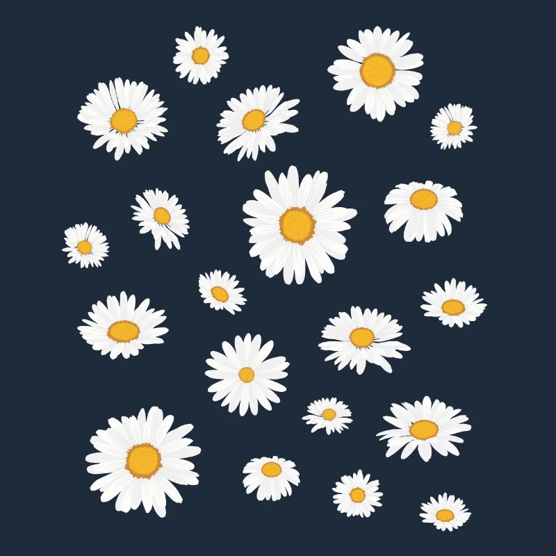 Gänseblümchen