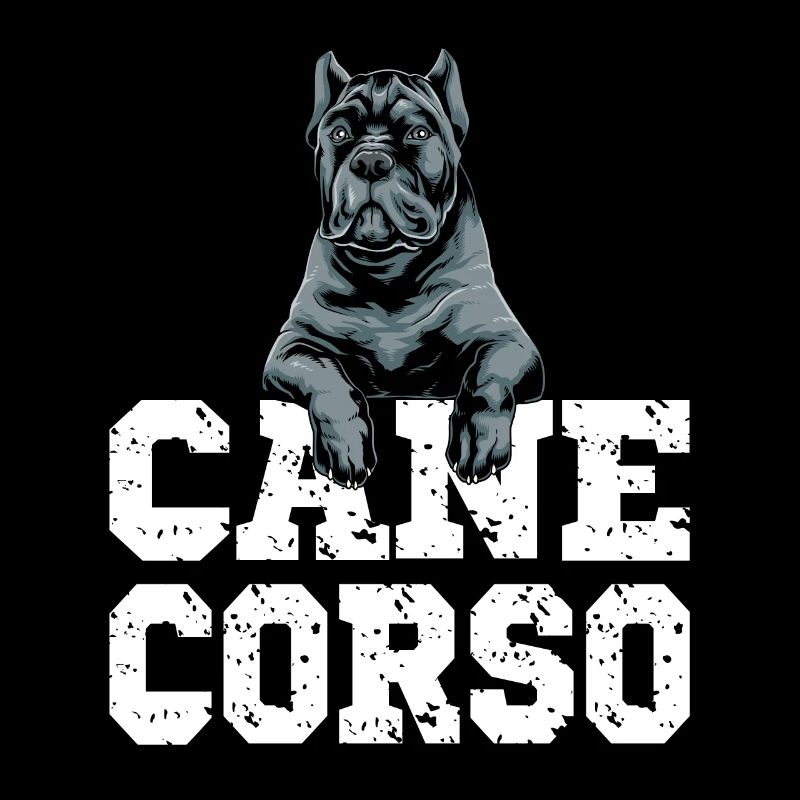 Cane Corso für einen Cane Corso Besitzer Cane