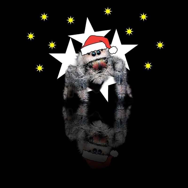 Christmas Spider Jumping Spider