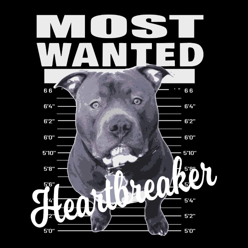 American Bully XL blue line artistic design