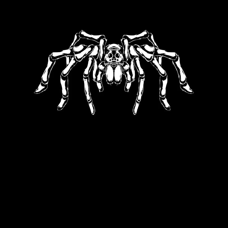 Spider lovers - big spider