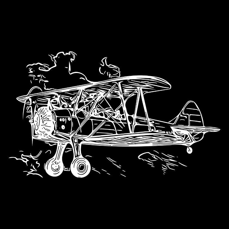 Illustration de la boîte vintage du biplan volant