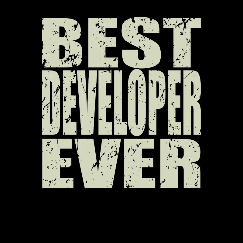 Best Developer ever Developer Gift