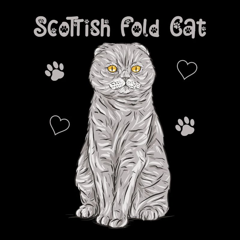 Scottish Folding Ear Cat Scottish Fold Gift