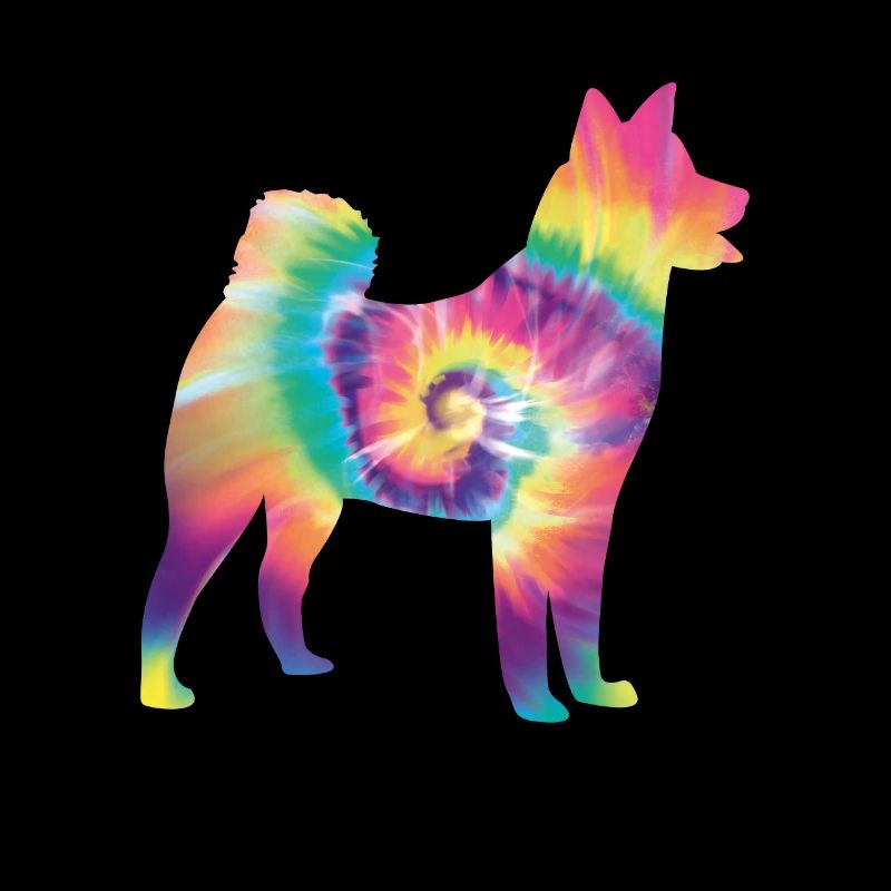 Tie Dye Dog