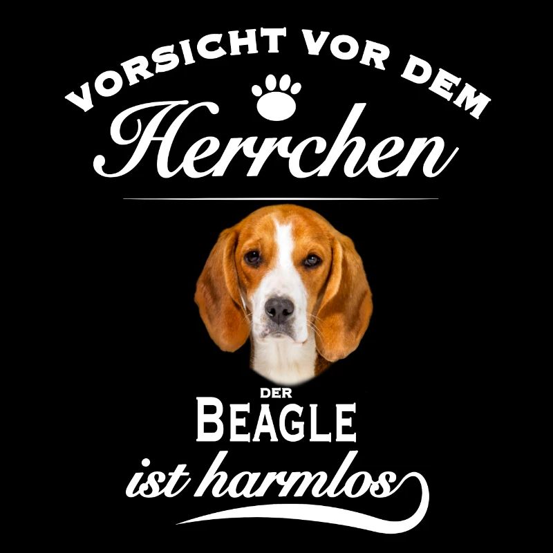 Vorsicht vor dem Herrchen, harmlos Beagle