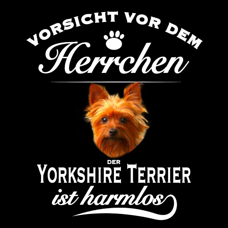 Vorsicht vor Herrchen, harmlos Yorkshire Terrier