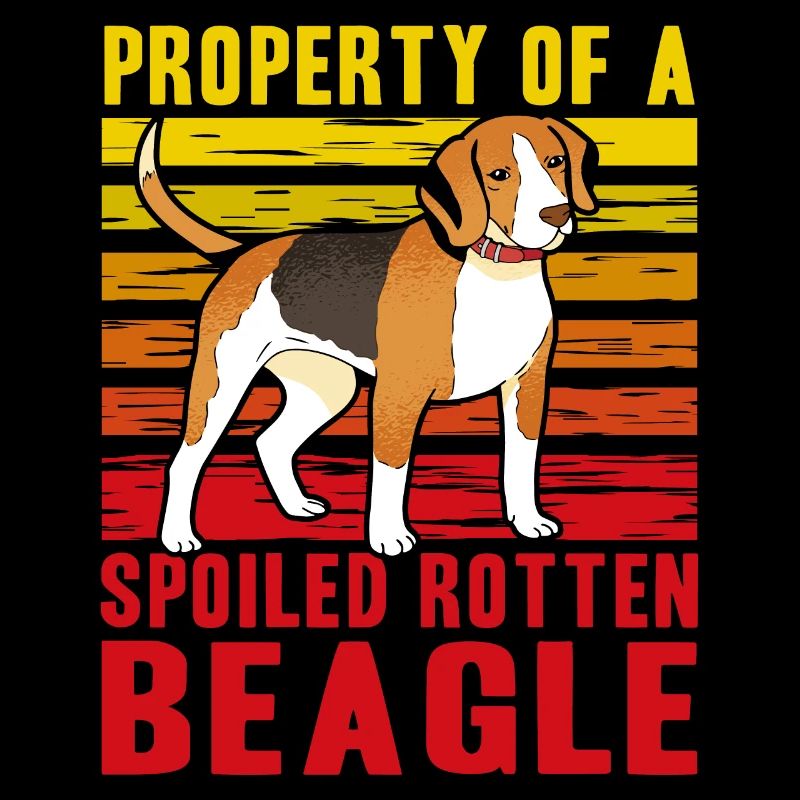 Propriété d’un Beagle pourri gâté