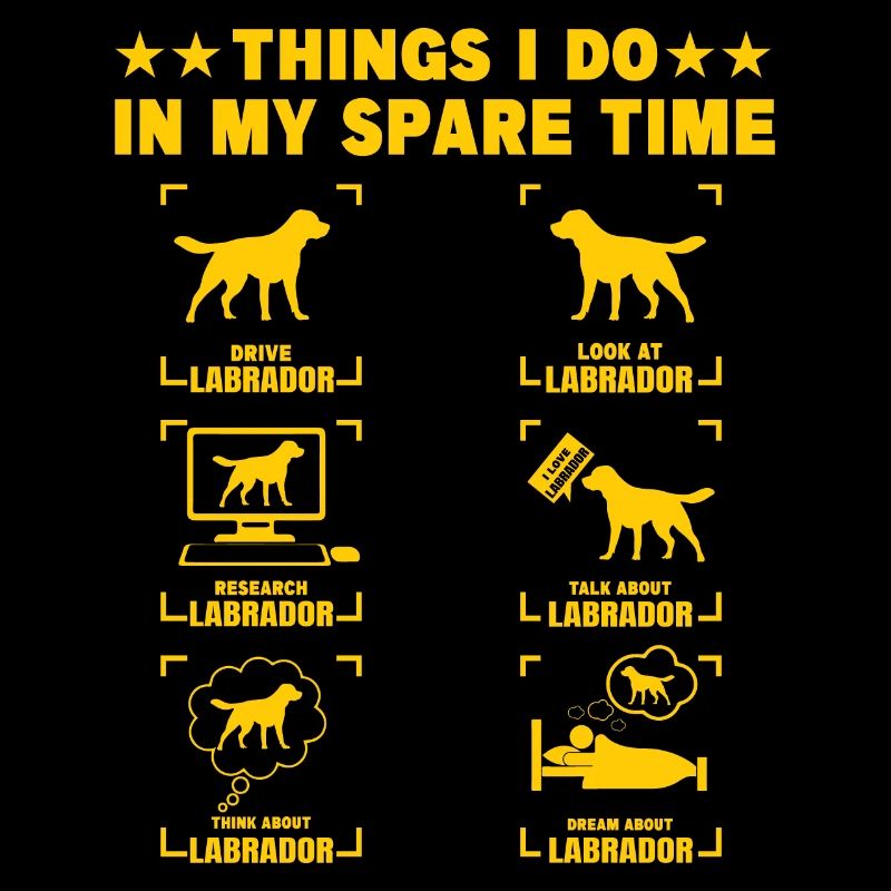 Ce que je fais dans mes temps libres Labrador