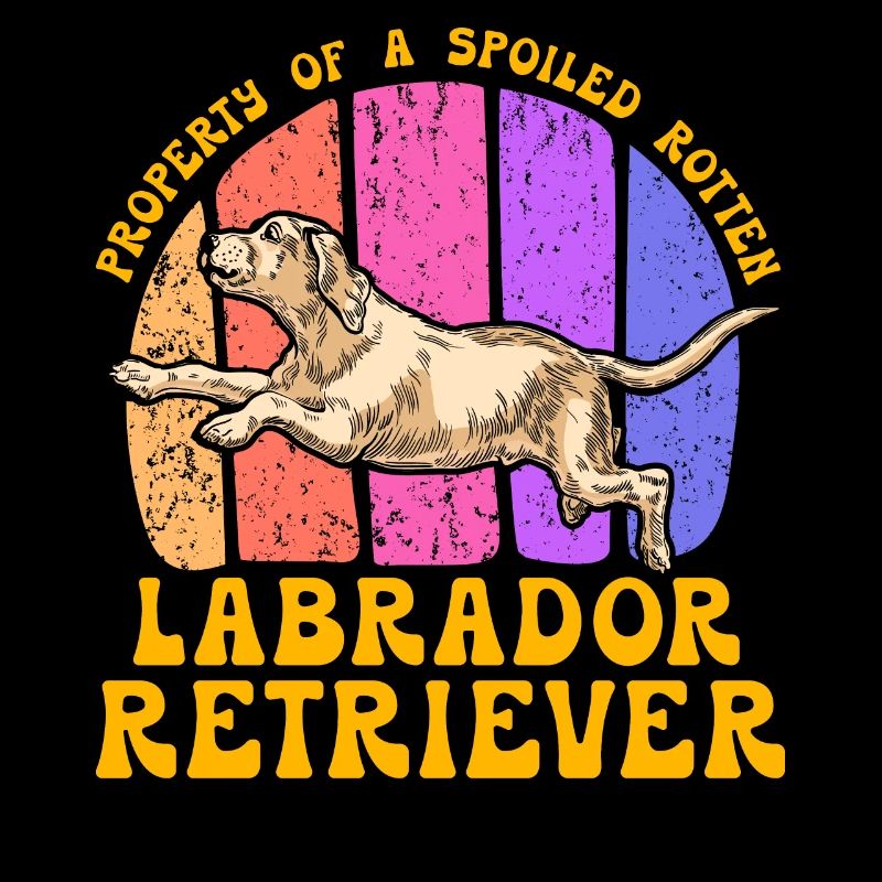 Propriété d’un Labrador Retriever pourri gâté