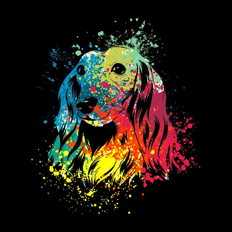 coloré splash art chien amoureux teckel