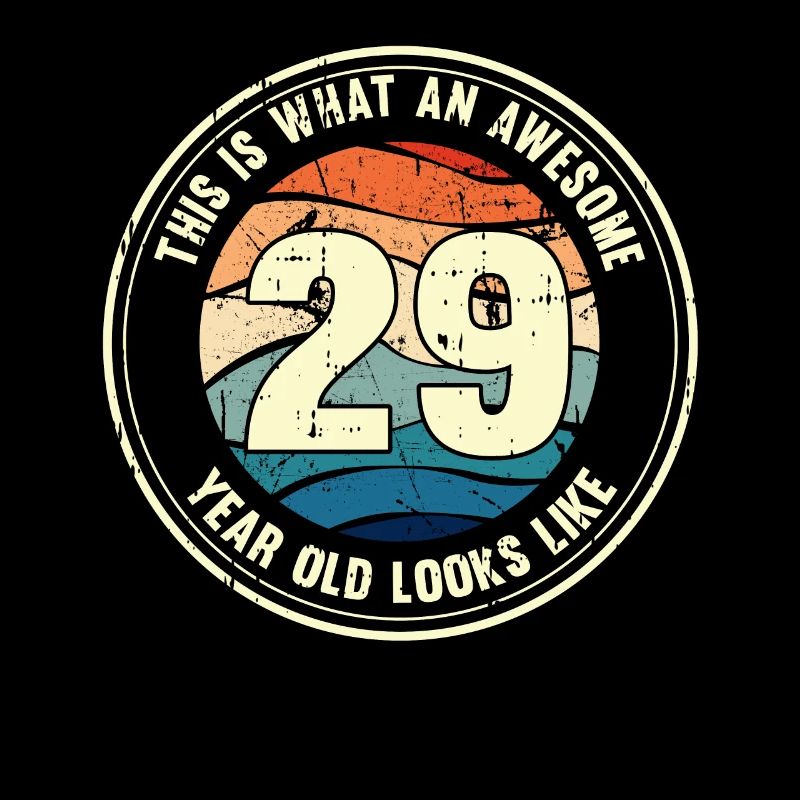 29. Geburtstag so sieht man mit 29 Retro Geschenk