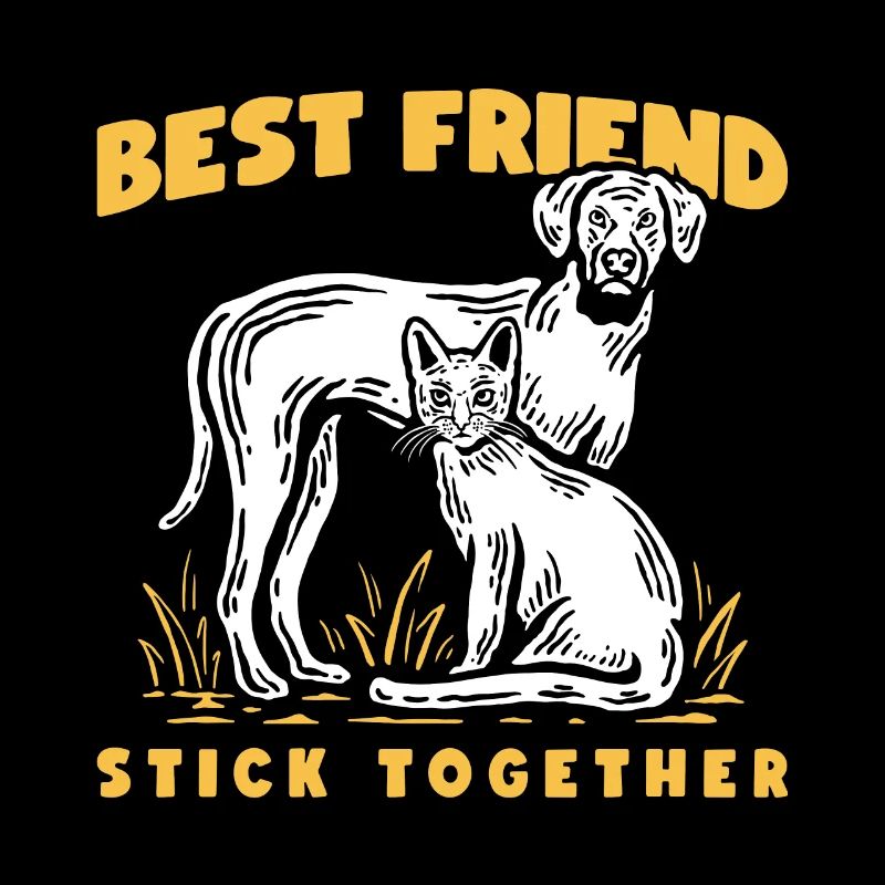 Katze und Hund