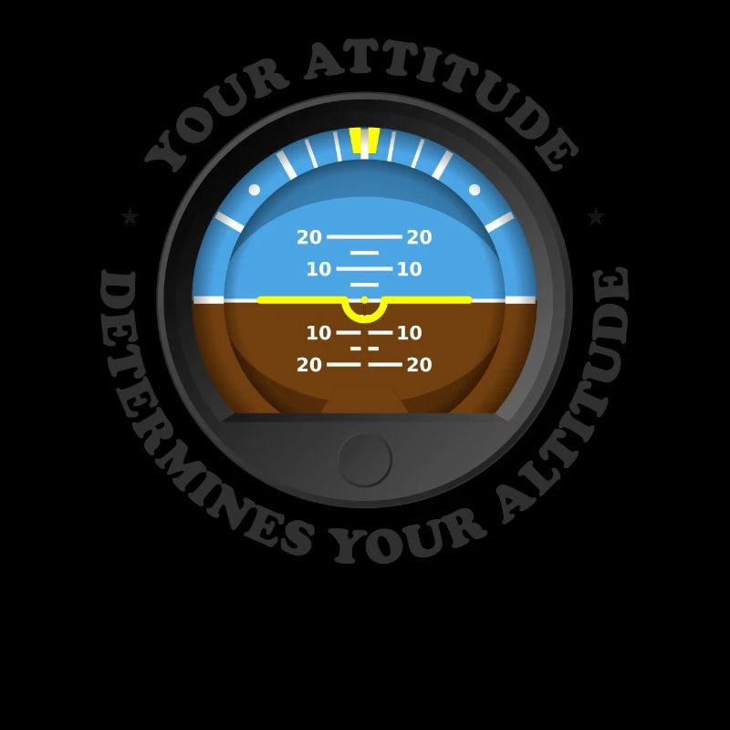 Your Attitude Determines Your Altitude - Aviation