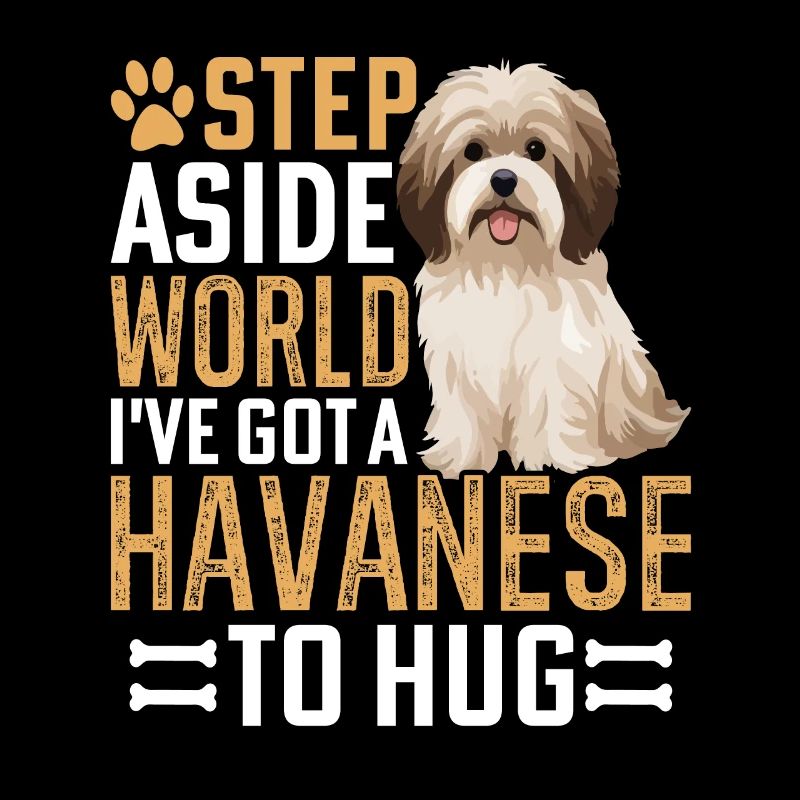 J’ai un bichon havanais dans mes bras