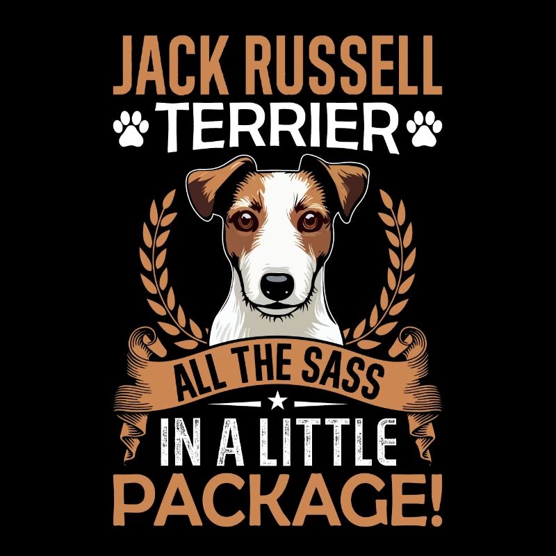 Jack Russell Terrier tout l’impertinence dans un peu