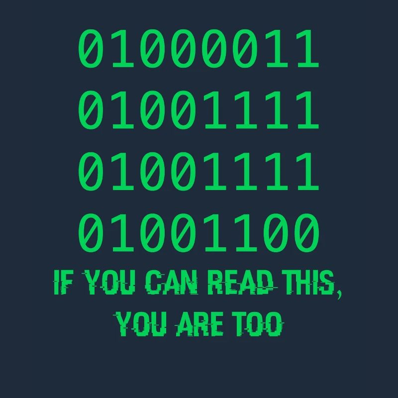 Geschenk für Computer-Binärcode-Entwickler