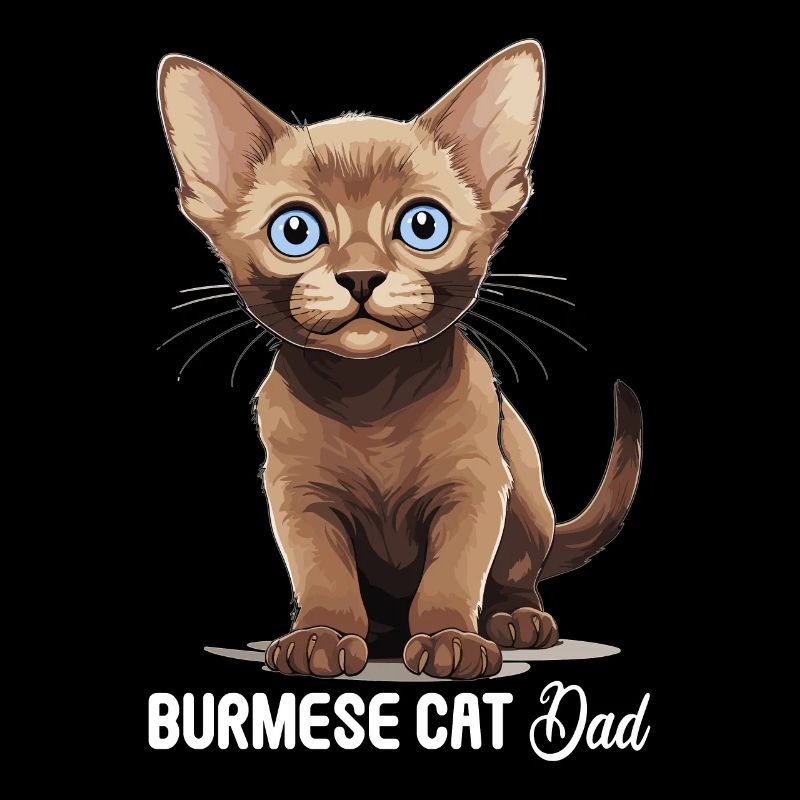 Burmese Cat Burma Katze