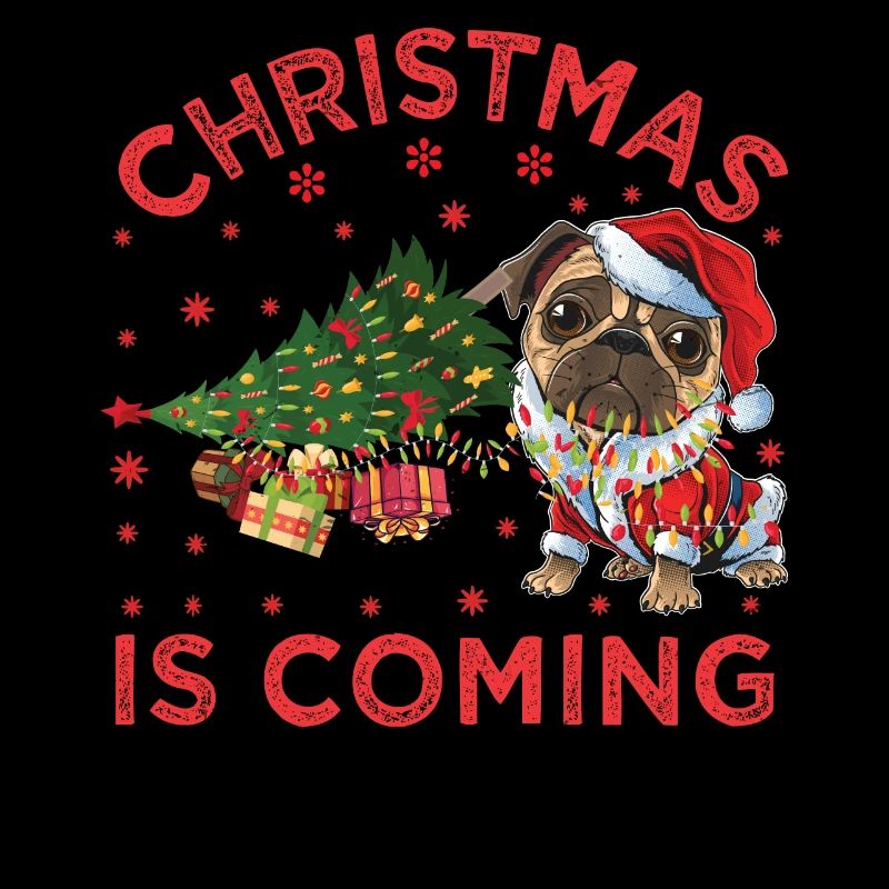 Noël arrive version chien