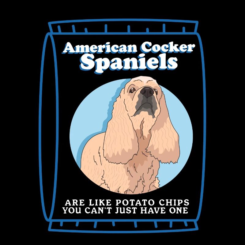 American cocker spaniels are like gift