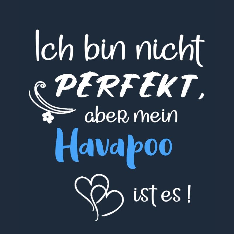Perfekter Havapoo I Havaneser Pudel Mix