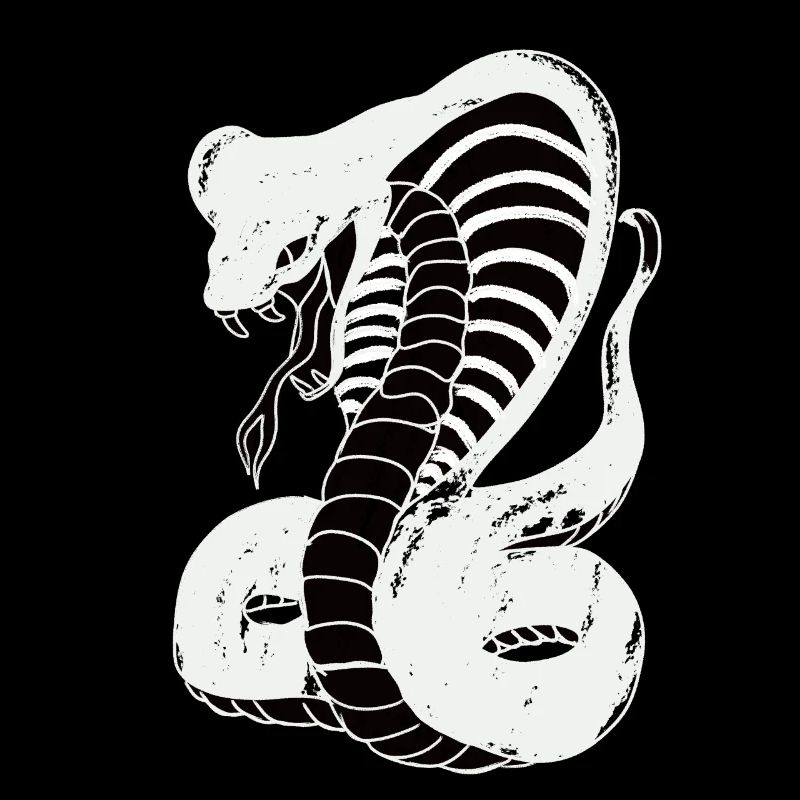 Cobra paint white
