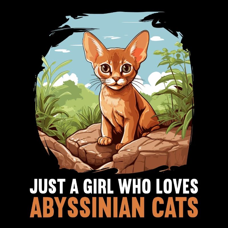 Abyssinian Cat Abessinierkatze
