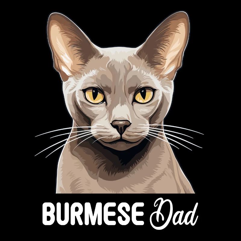 Burmese Cat Burma Katze