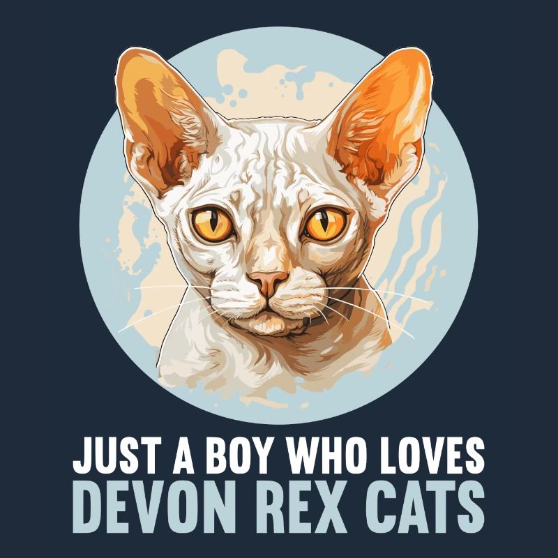 Devon Rex Kätzchen Devon Rex Katze