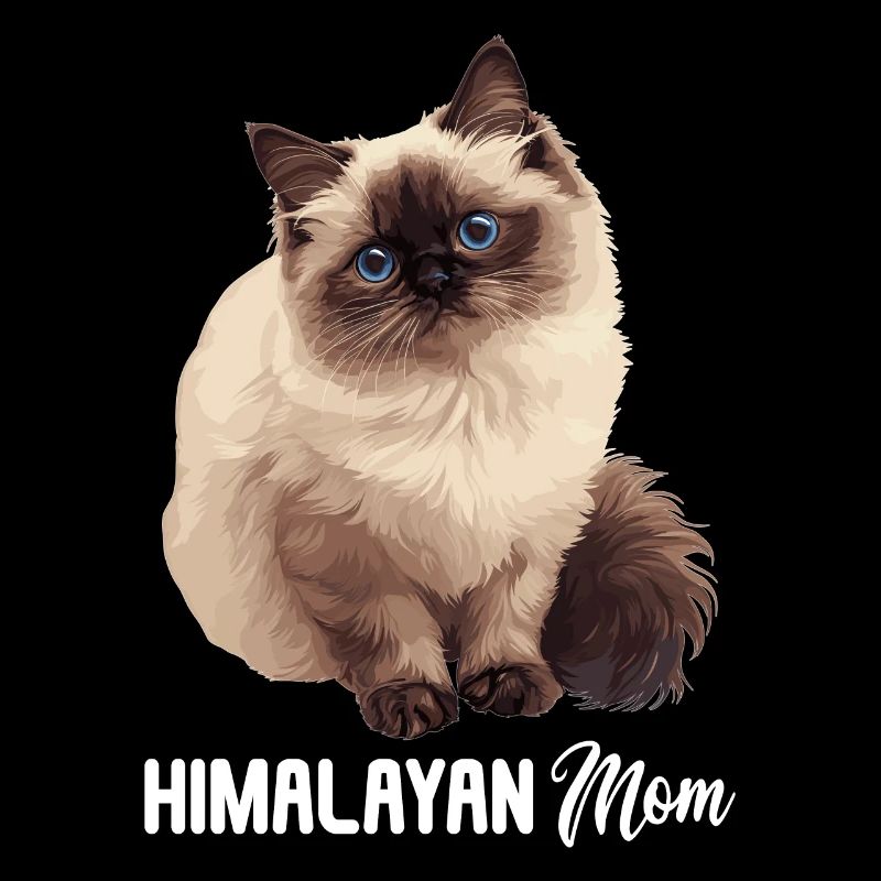 Chat de l’Himalaya Colourpoint Katze