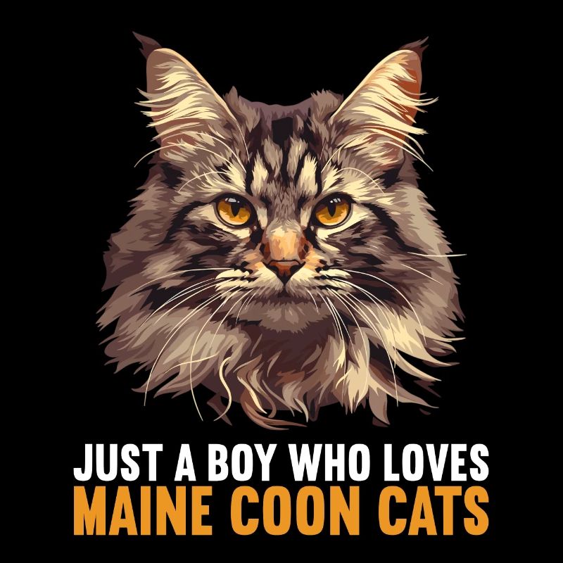 Maine Coon Chaton Maine Coon Chat